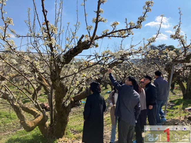 이천시， 과수 개화기 이상기상 대응 관계기관과 점검.jpg