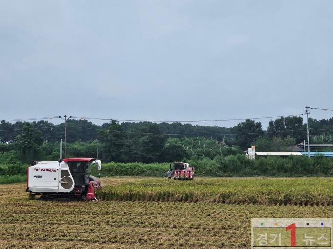 이천시 남부권 해들 본격 수확 시작1.jpg