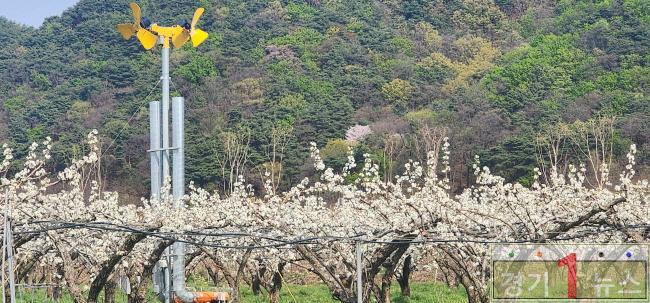 이천시 2026년 지역전략작목 육성 공모사업 선정.jpg
